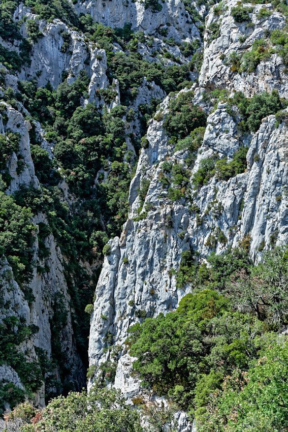 Gorges de Galamus