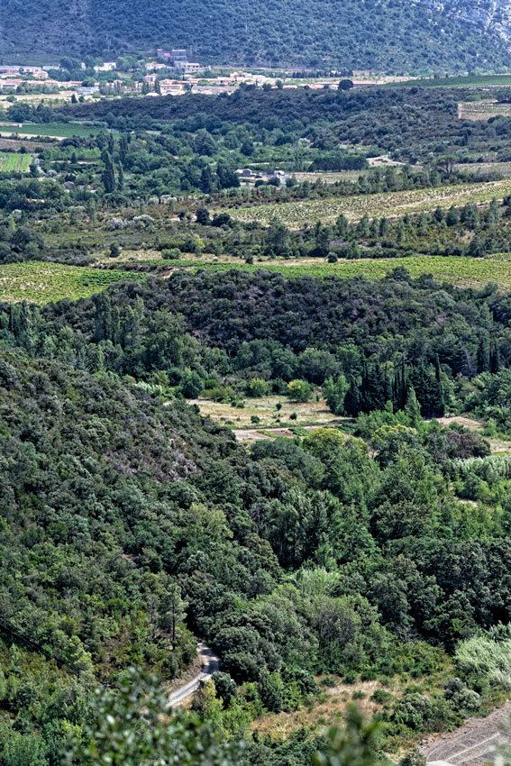 Gorges de Galamus