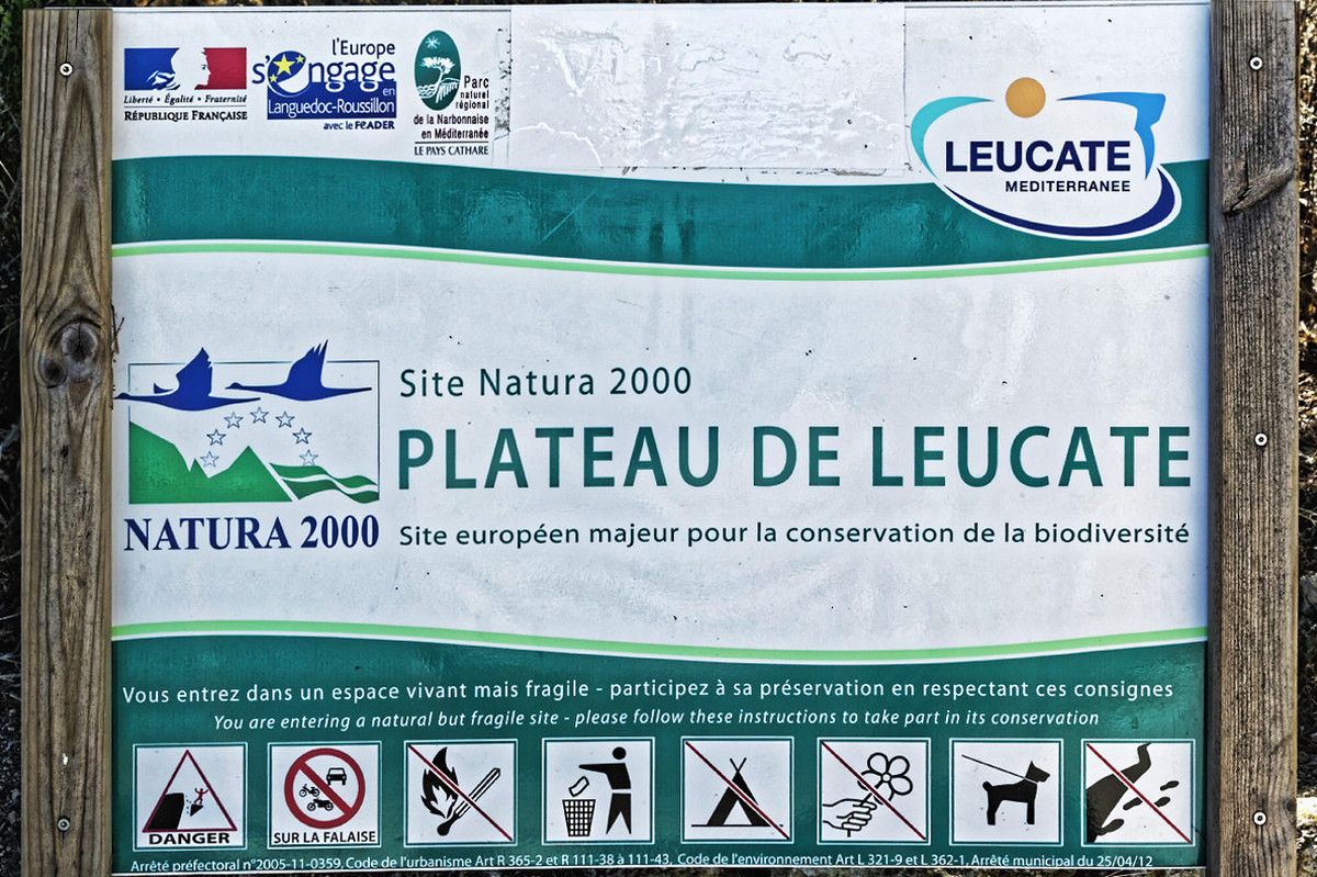 Le Plateau de Leucate