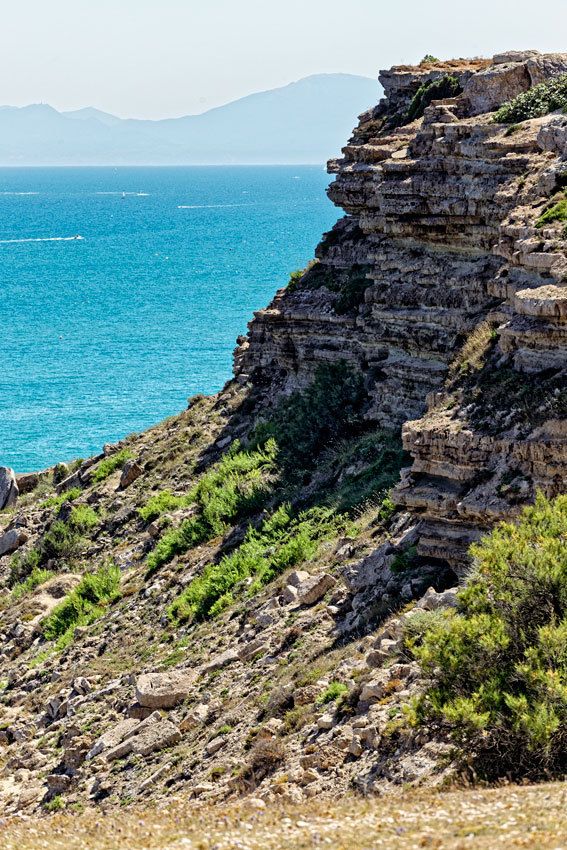Le Plateau de Leucate