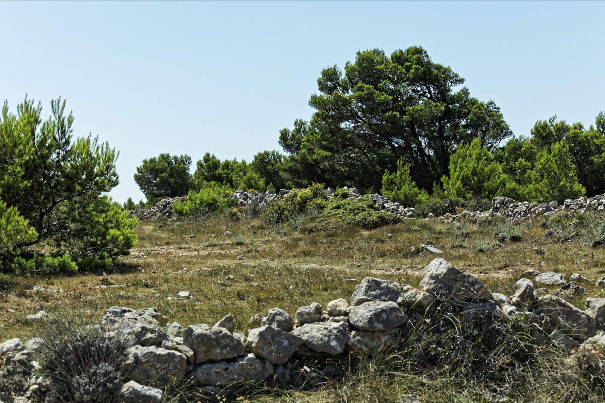 Le Plateau de Leucate