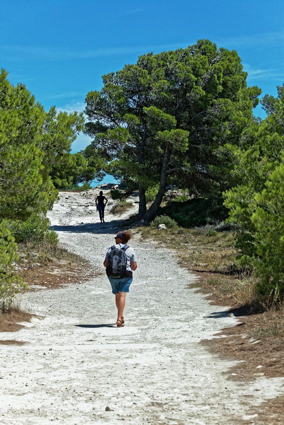 Le Plateau de Leucate