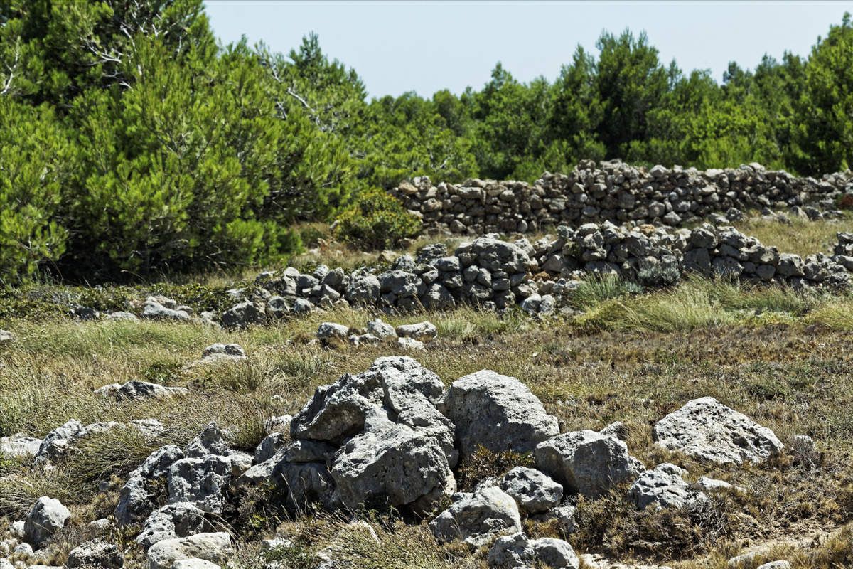 Le Plateau de Leucate