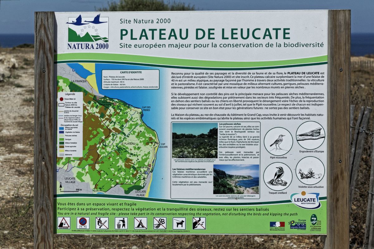 Le Plateau de Leucate