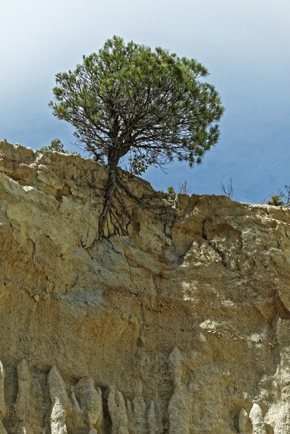 Les Orgues d'iIle sur Têt  -  Pyrénées Orientales