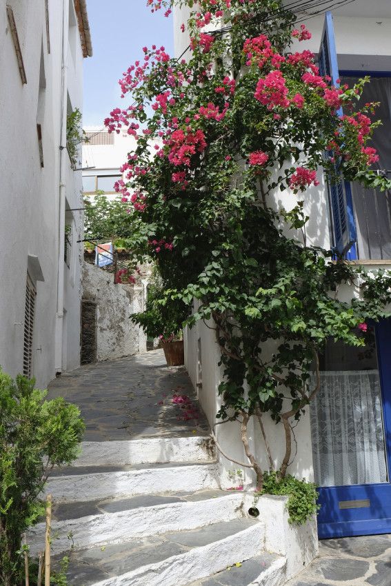 Cadaqués  -  2