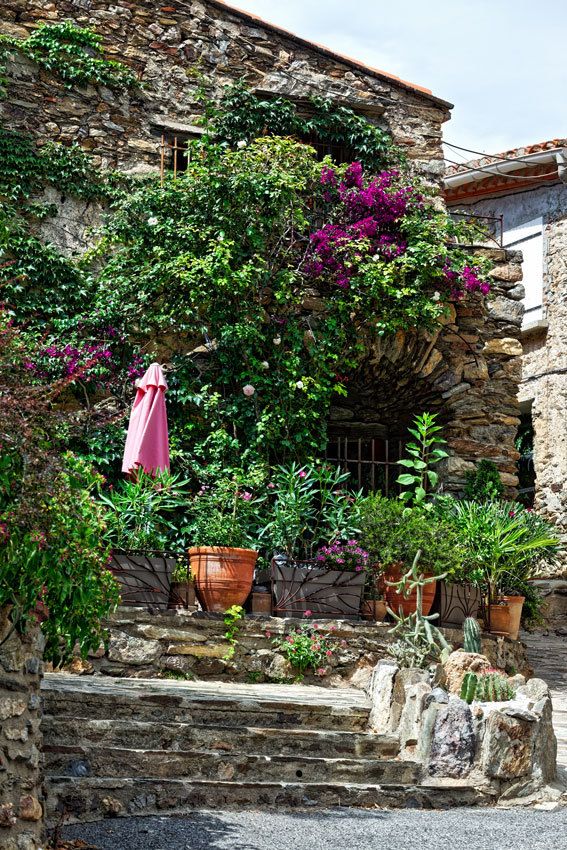 Camélas  -  Aspres - Pyrénées Orientales