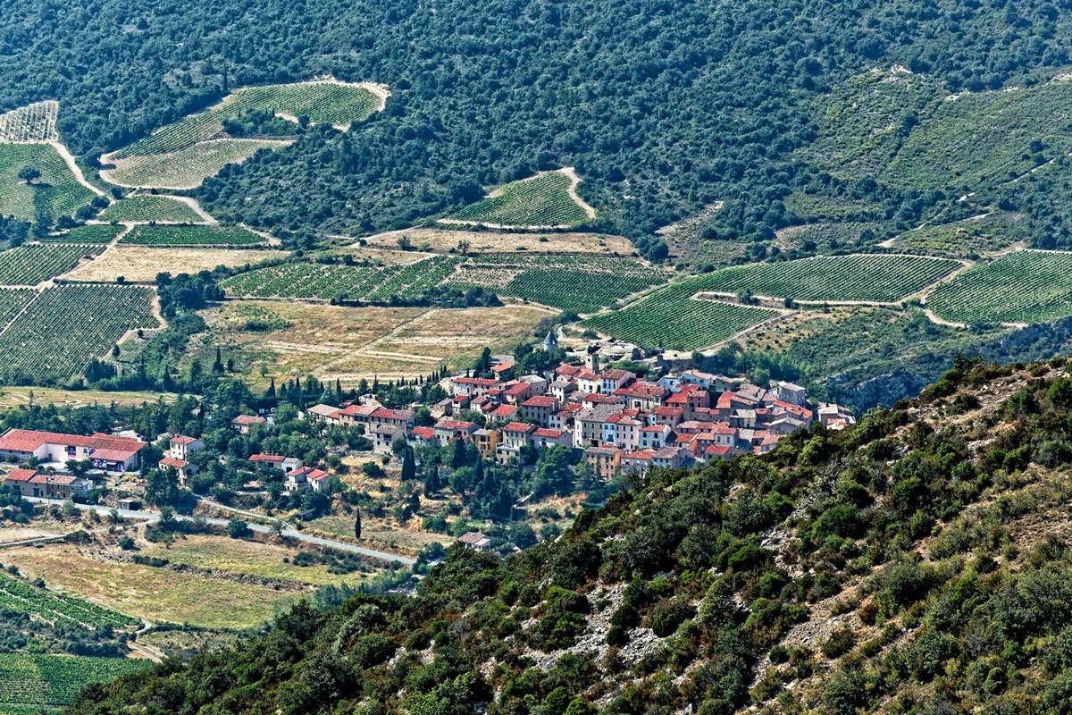 Quéribus  -  1 - Pays Cathare