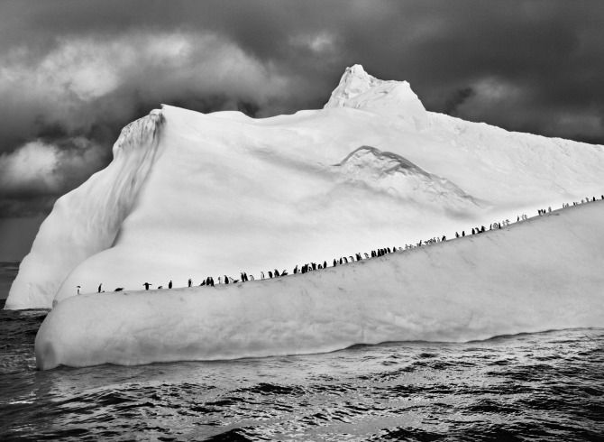 Sebastião Salgado - 1