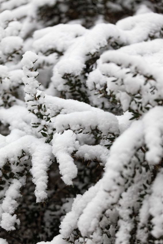 Hiver 2018 - 1