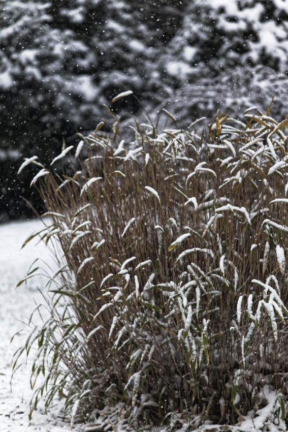 Hiver 2018 - 2