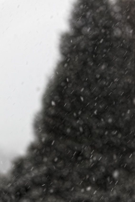 Hiver 2018 - 2