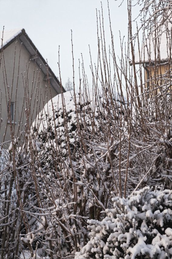 Hiver 2018 - 3