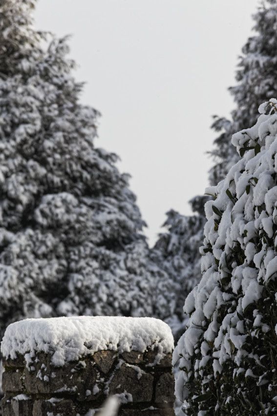 Hiver 2018 - 3