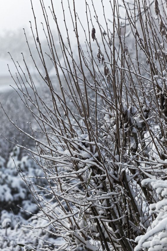 Hiver 2018 - 3