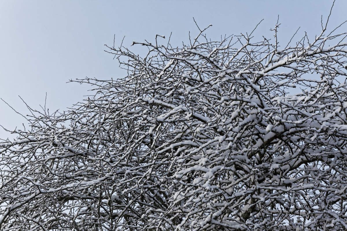 Hiver 2018 - 3
