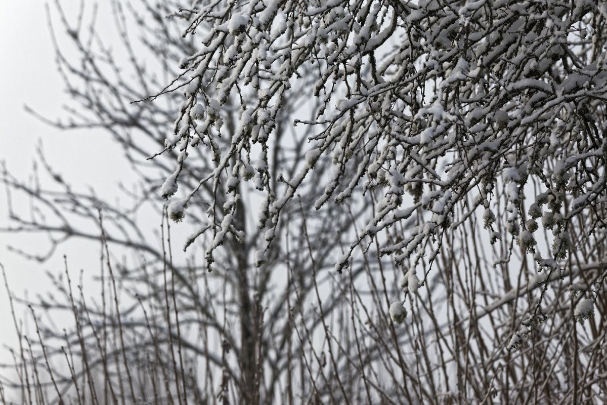 Hiver 2018 - 3