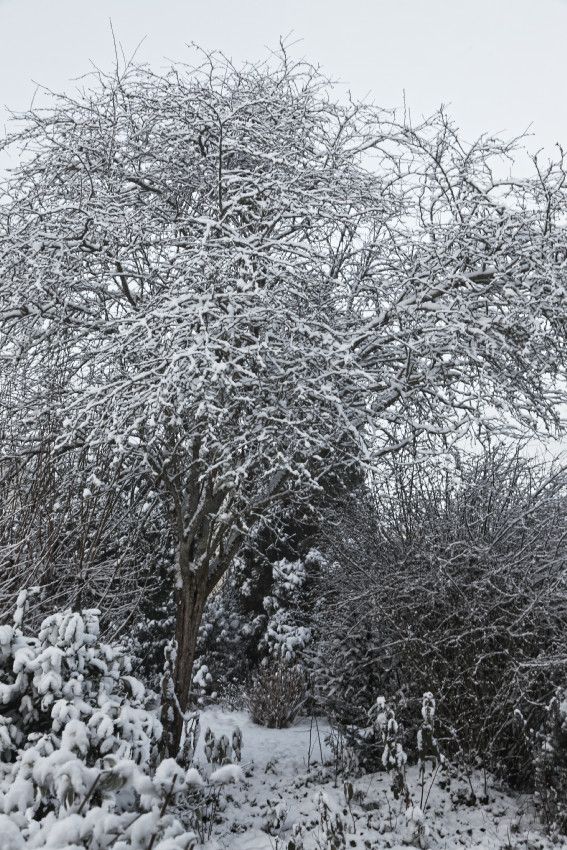 Hiver 2018 - 3