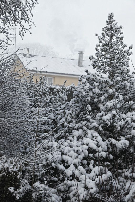 Hiver 2018 - 3