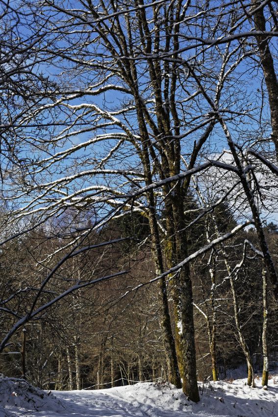 HIVER 2018 - 4