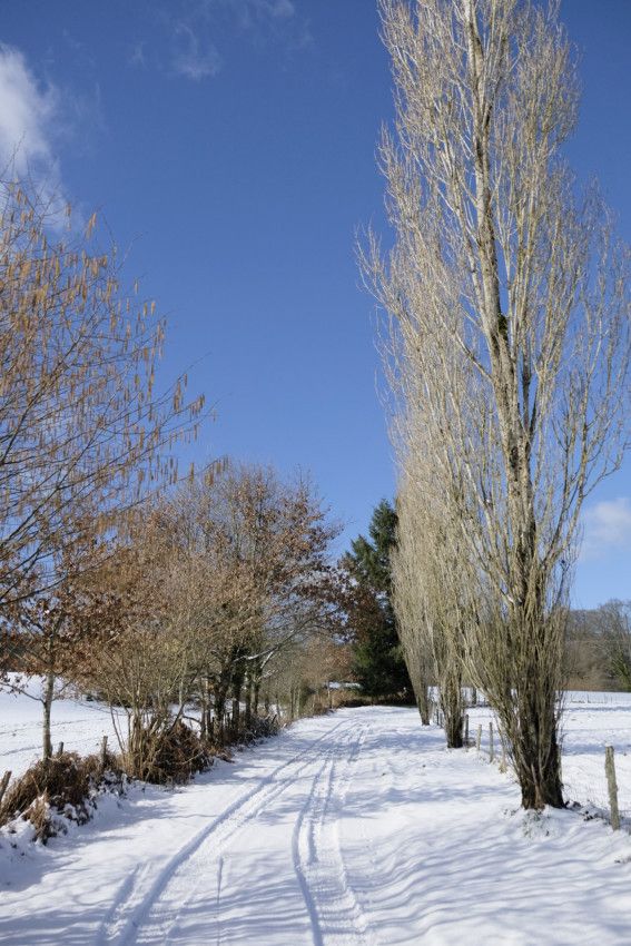 HIVER 2018 - 4