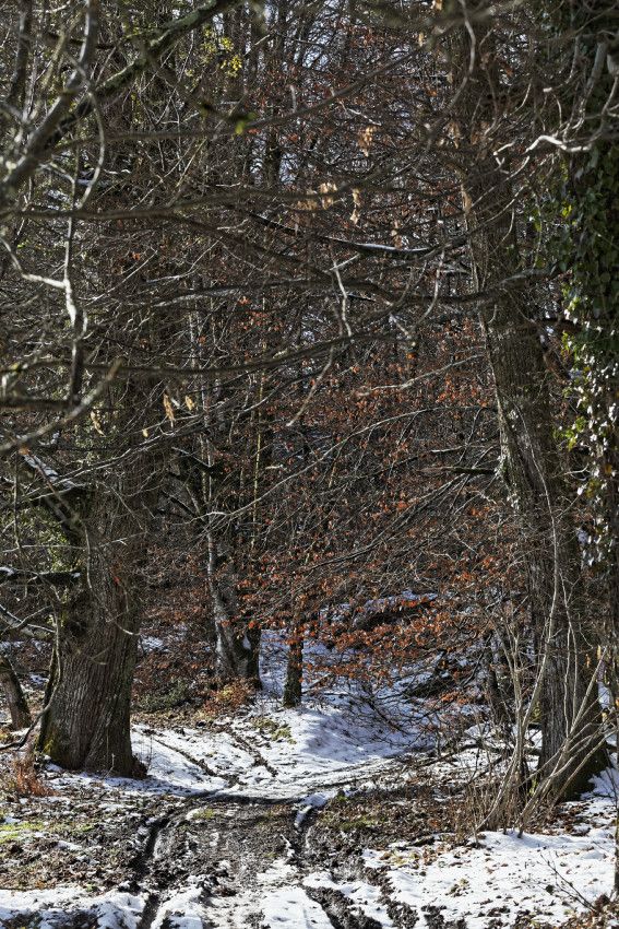 HIVER 2018 - 4