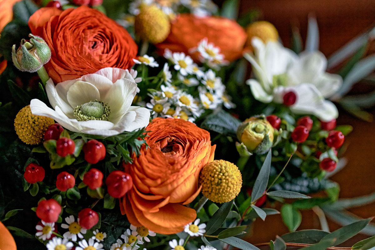 Couleurs et formes