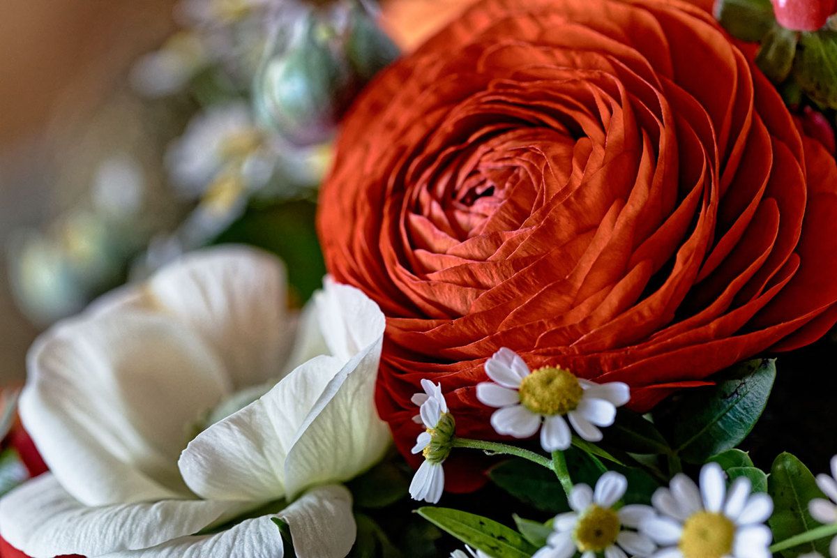 Couleurs et formes