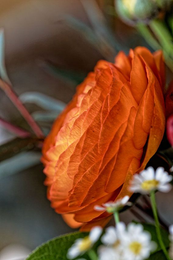 Couleurs et formes