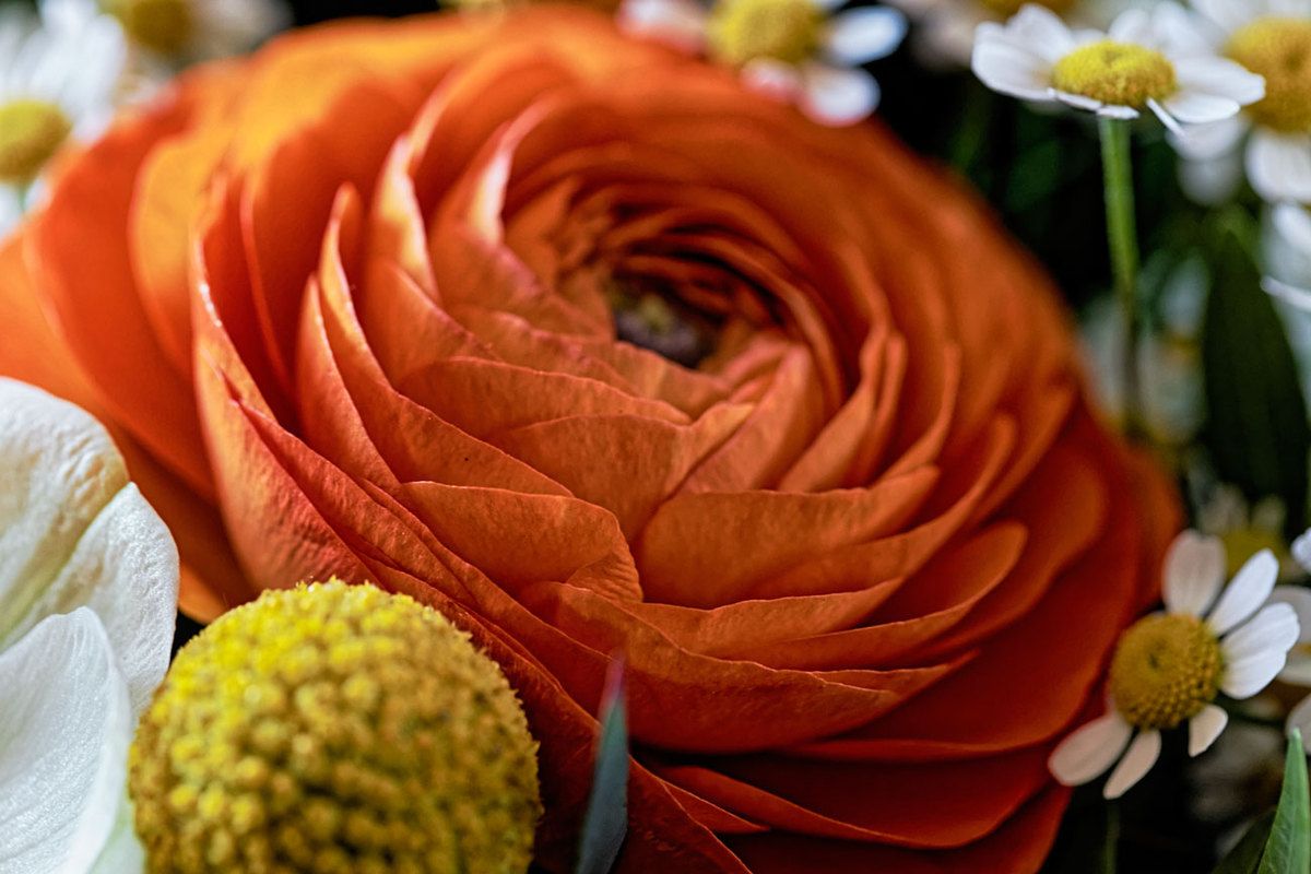 Couleurs et formes