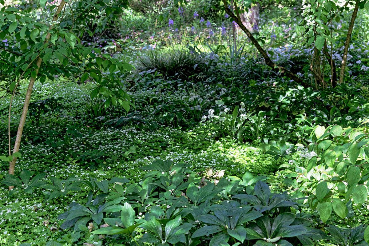 Le Jardin de Liliane - Fin avril 2018 - 2