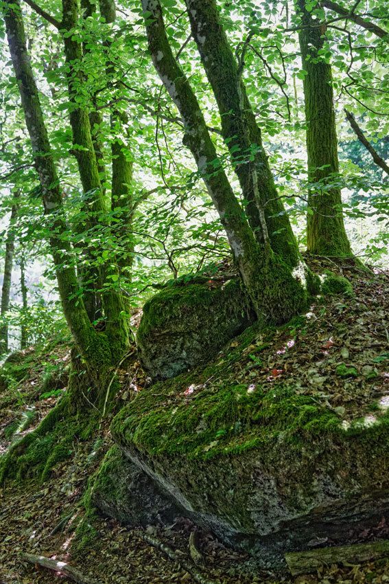 Sauvagnac  -  Monts d'Ambazac