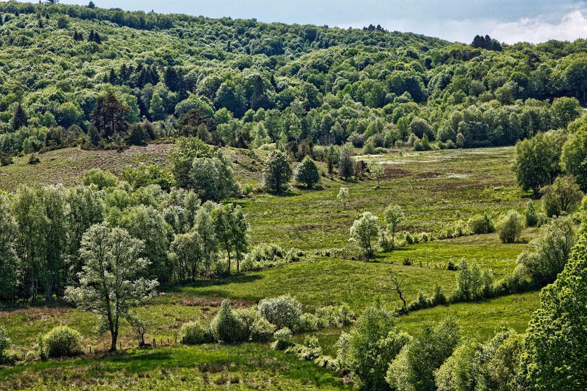 Sauvagnac  -  Monts d'Ambazac