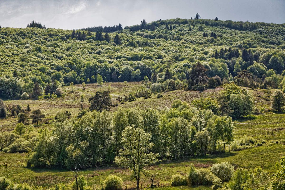 Sauvagnac  -  Monts d'Ambazac