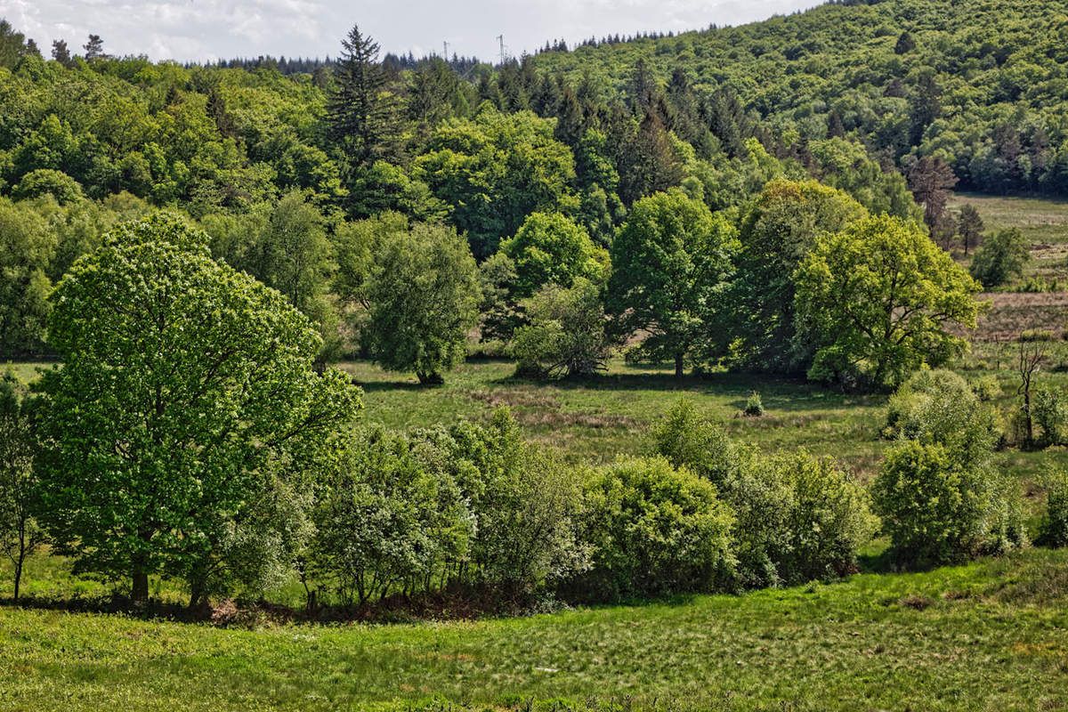Sauvagnac  -  Monts d'Ambazac