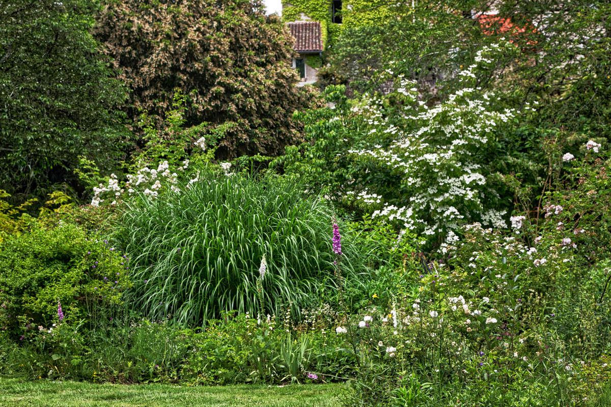 Le Jardin de Liliane Juin 2018 - 2