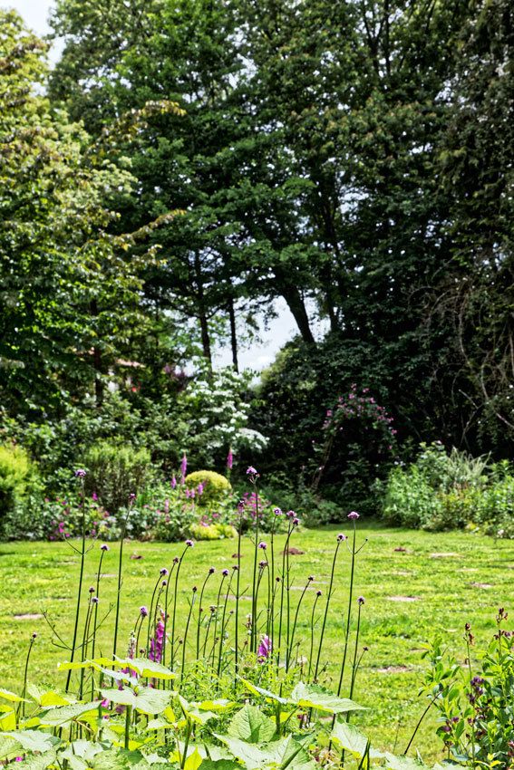 Le Jardin de Liliane Juin 2018 - 3