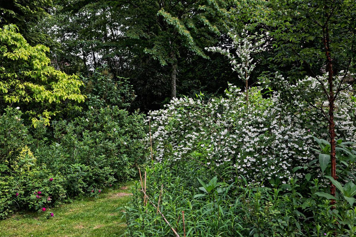 Le Jardin de Liliane Juin 2018 - 3