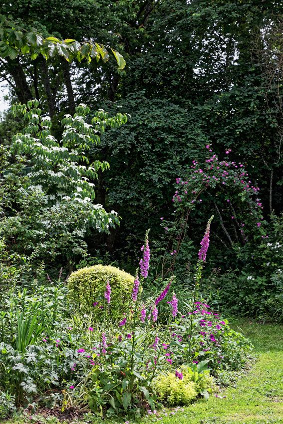 Le Jardin de Liliane Juin 2018 - 3