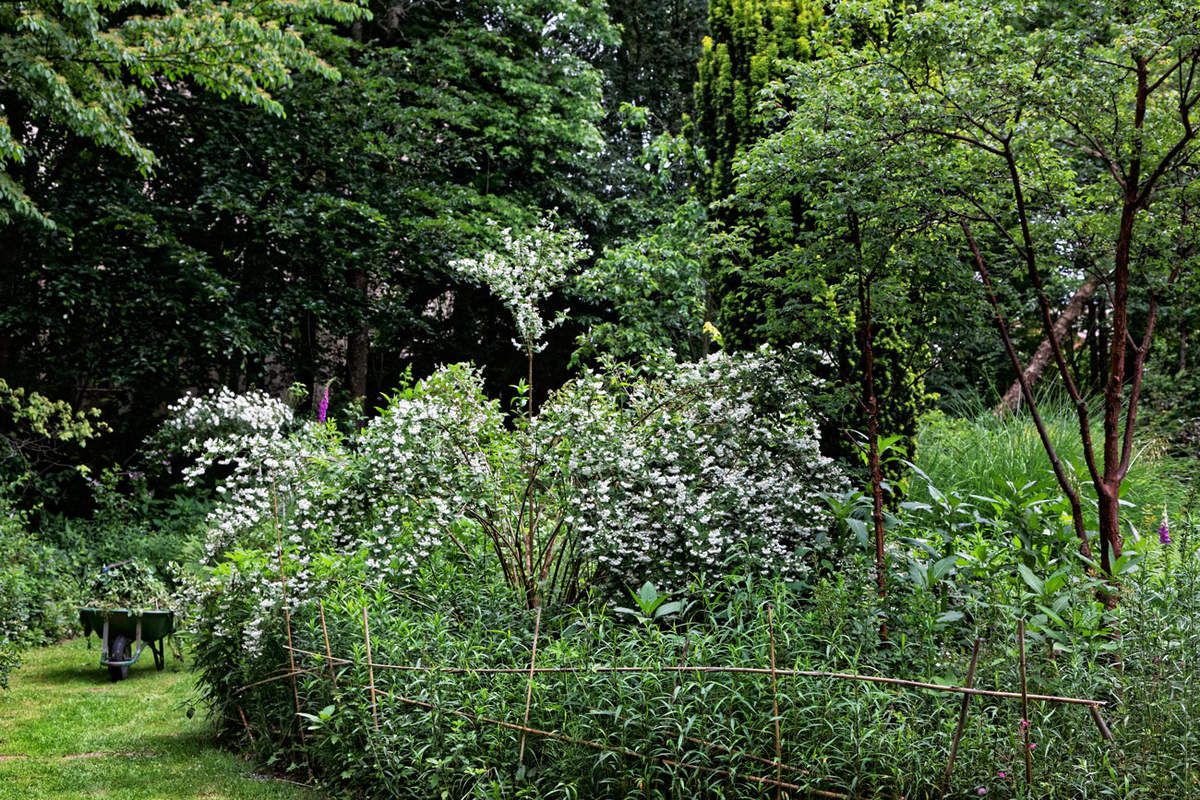Le Jardin de Liliane Juin 2018 - 3