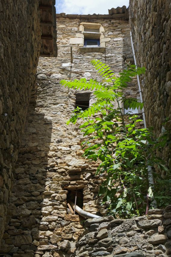 Olargues - Hérault - 1