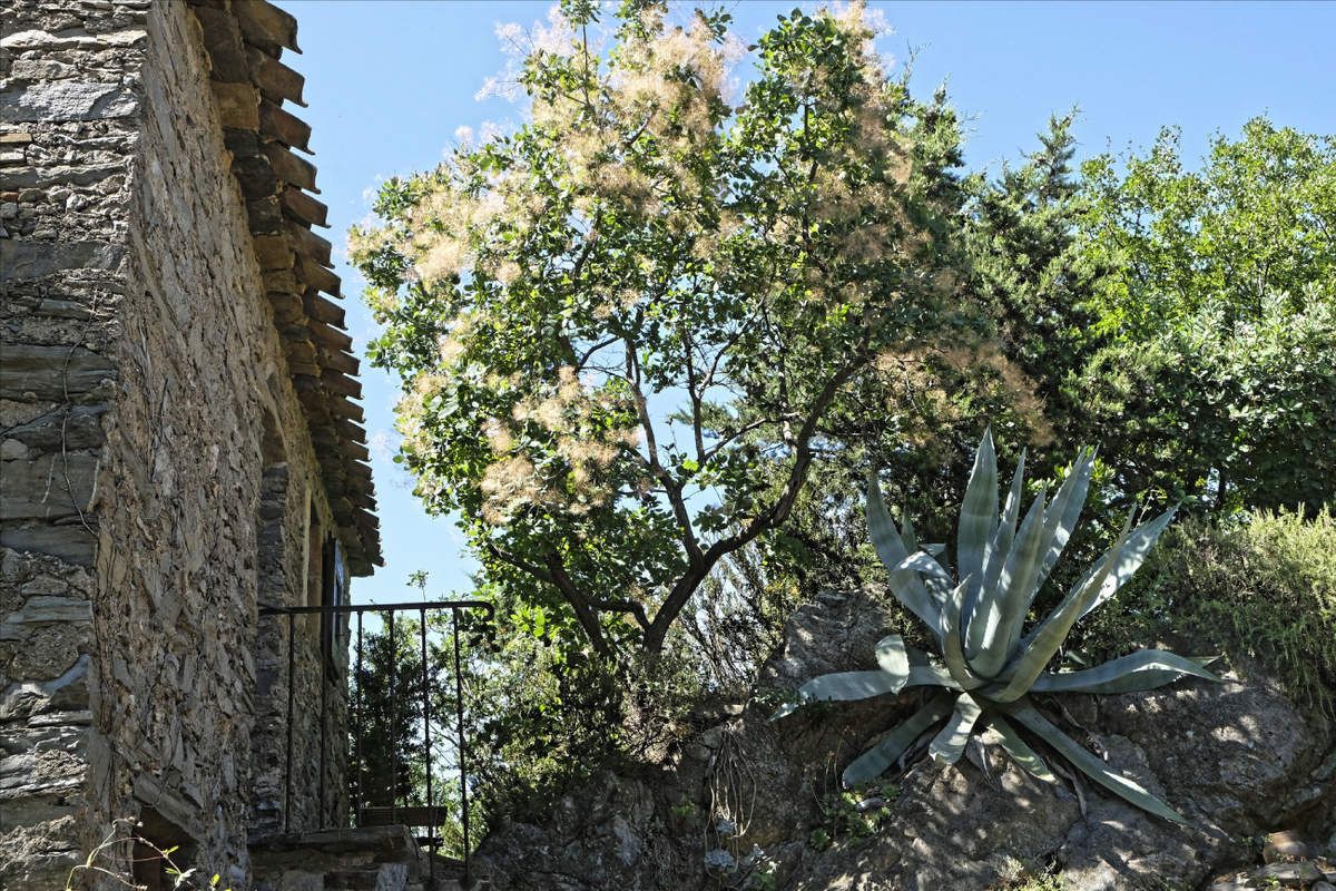 Vieussan - Hérault