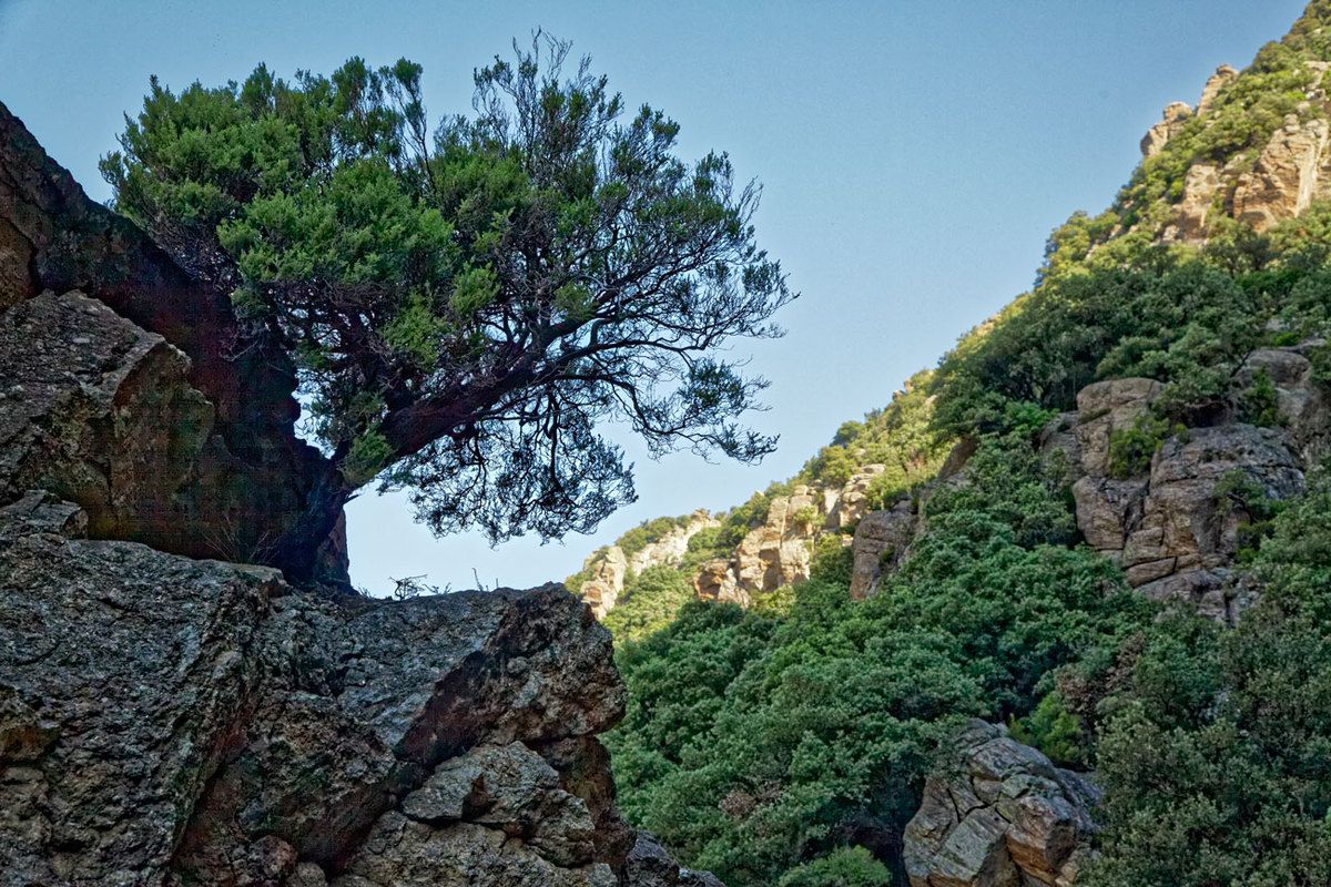 Les Gorges d'Héric - 1