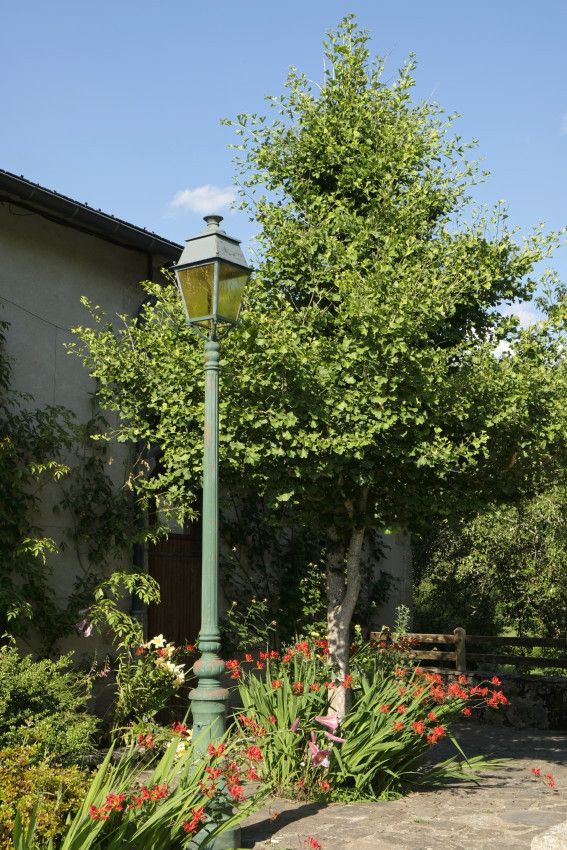 Fraïsse-sur-Agout - Hérault -1