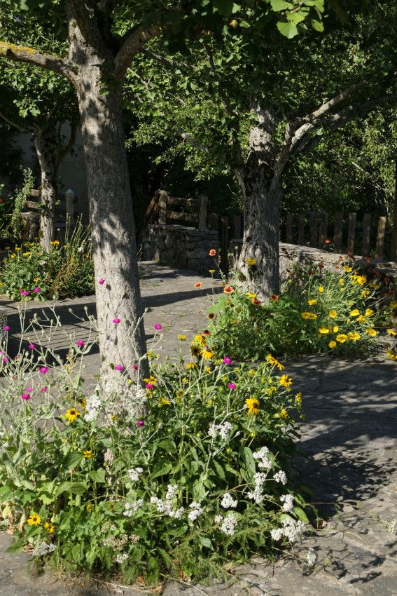 Fraïsse-sur-Agout - Hérault -1