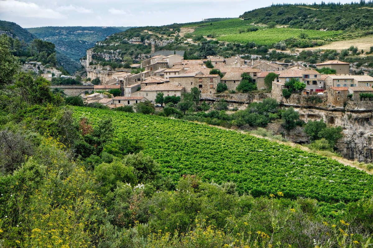Minerve  -  Hérault