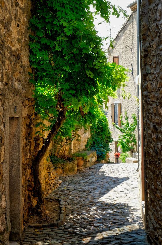 Minerve  -  Hérault