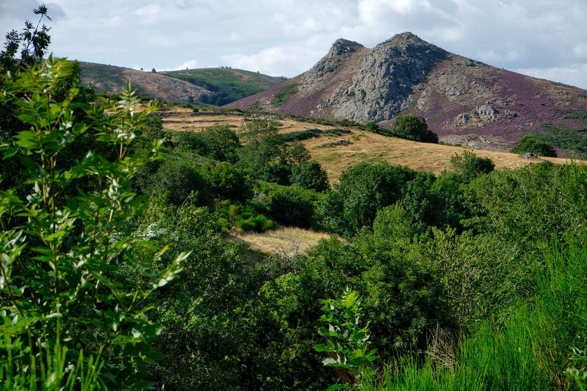 Douch - Hérault - 2