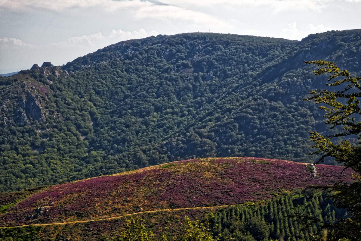 GR7- Col de Fontfroide