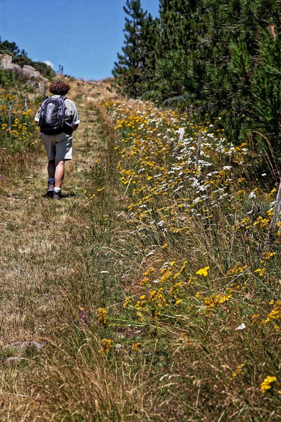 GR7- Col de Fontfroide